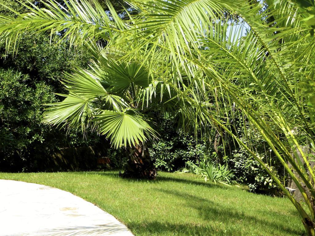Appartement Dans Villa St Raphael Saint-Raphaël Zimmer foto