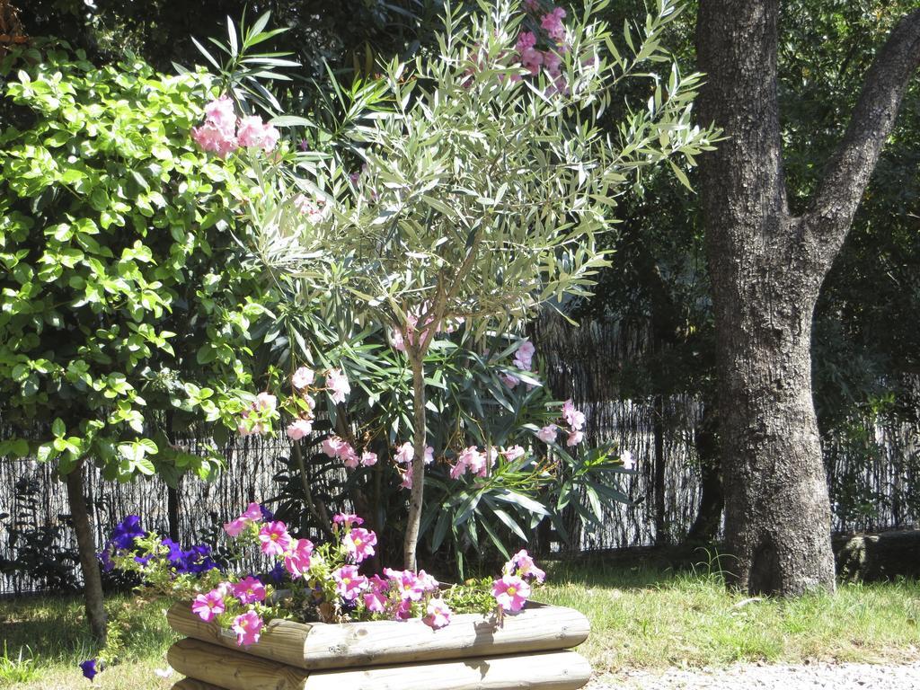 Appartement Dans Villa St Raphael Saint-Raphaël Zimmer foto